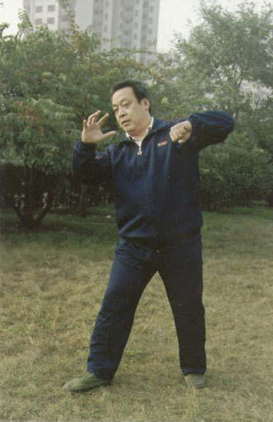 Maître Wei Yuzhu entrainement parc